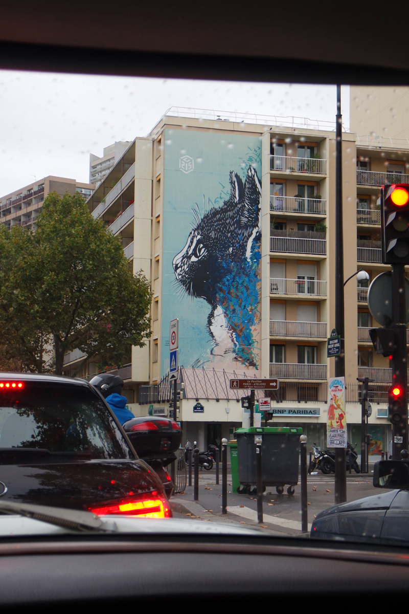 Chat-cat-wall-by-C215-Christian-Guémy-street-art-graffiti-vue-de-voiture-de-collection-Paris-Balade-visite-insolite-city-tour-capitale-photo-by-United-States-of-paris-blog