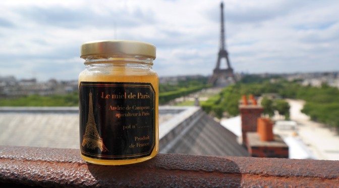 Le Miel de Paris : Audric partage sa passion des abeilles en plein Paris