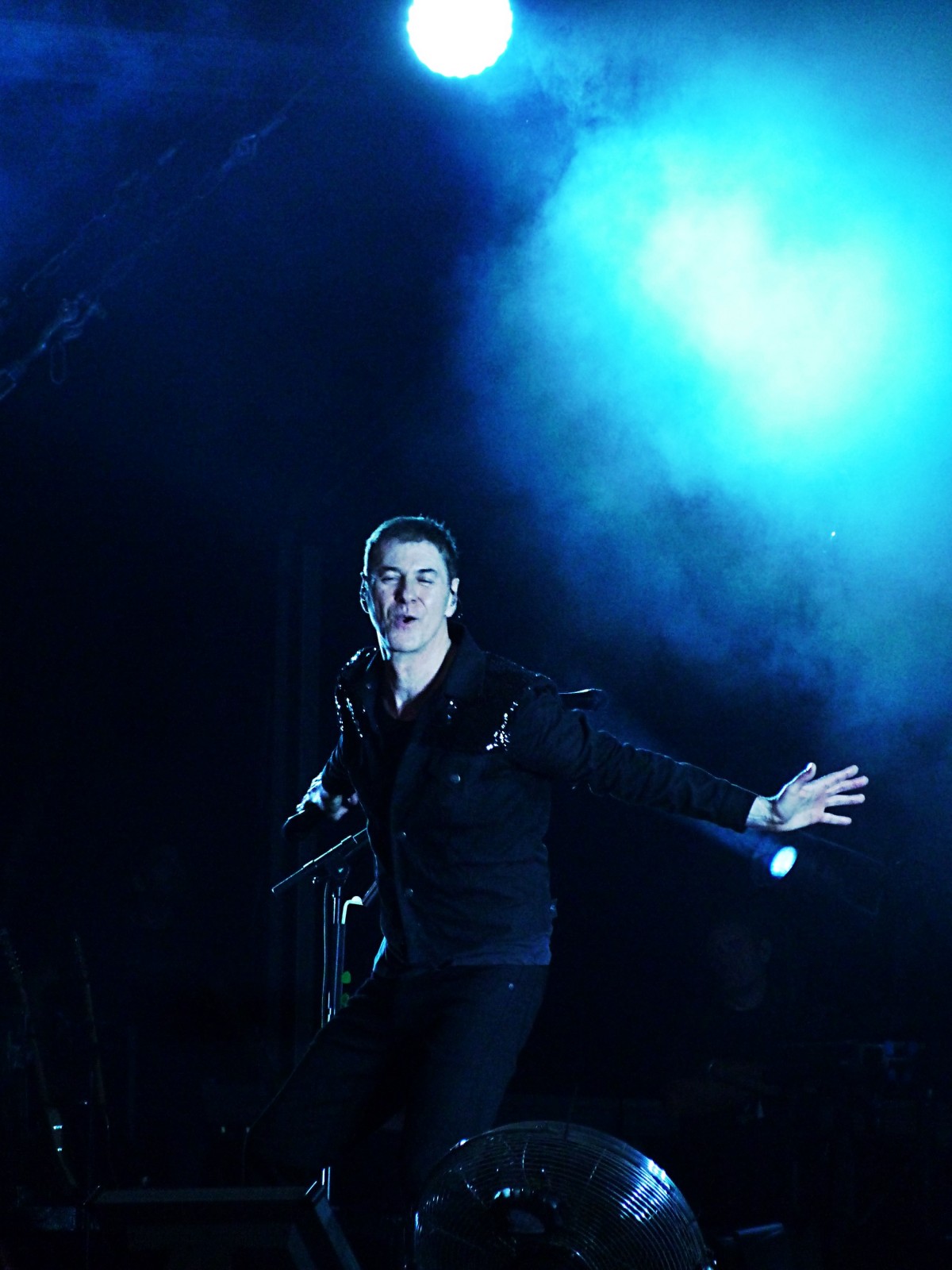 Etienne Daho concert Festival Rock en Seine 2015 photo de scène by united states of paris blog