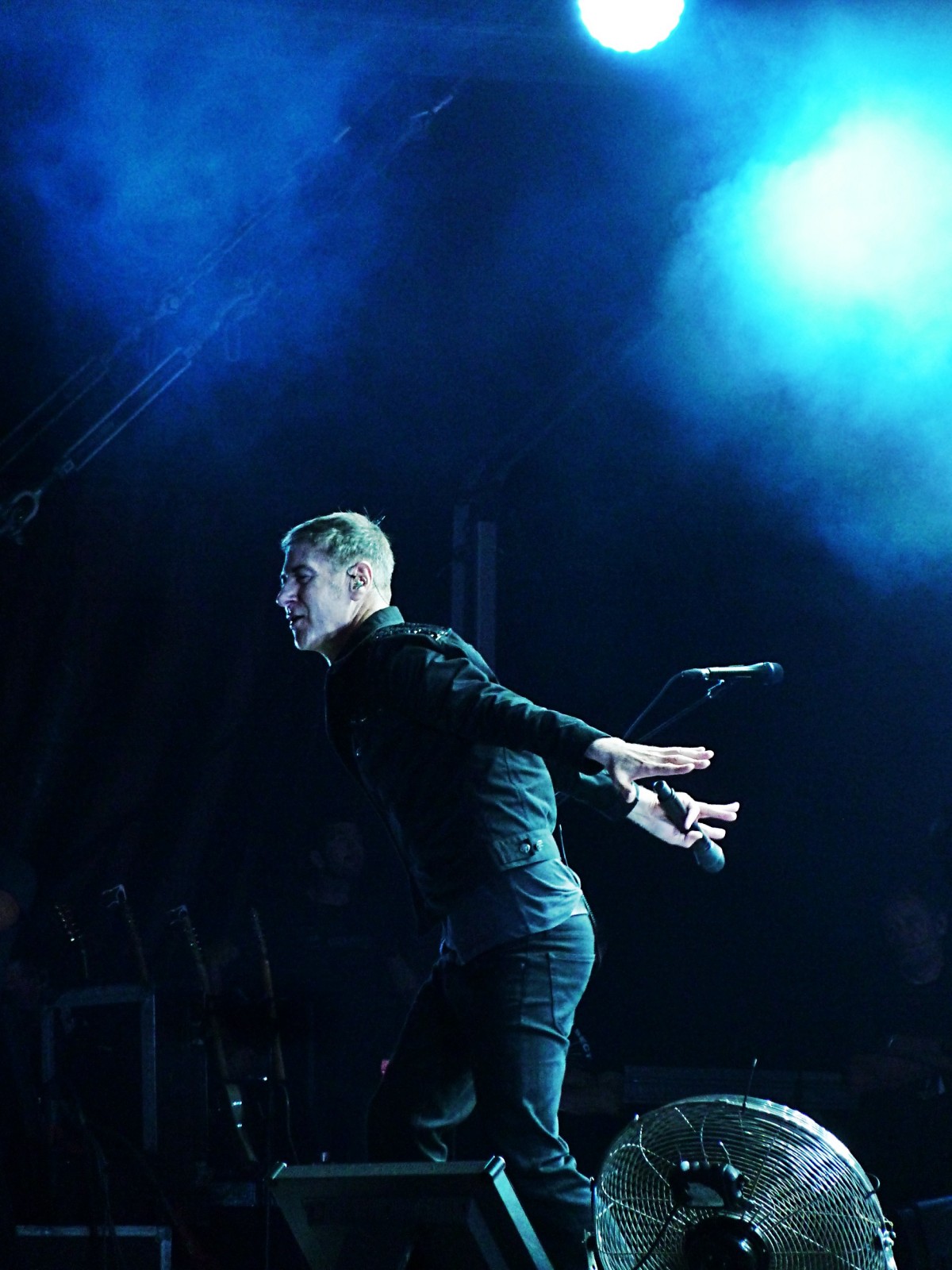 Etienne Daho concert Rock en Seine 2015 festival dernier live de la tournée musique photo de scène by united states of paris blog