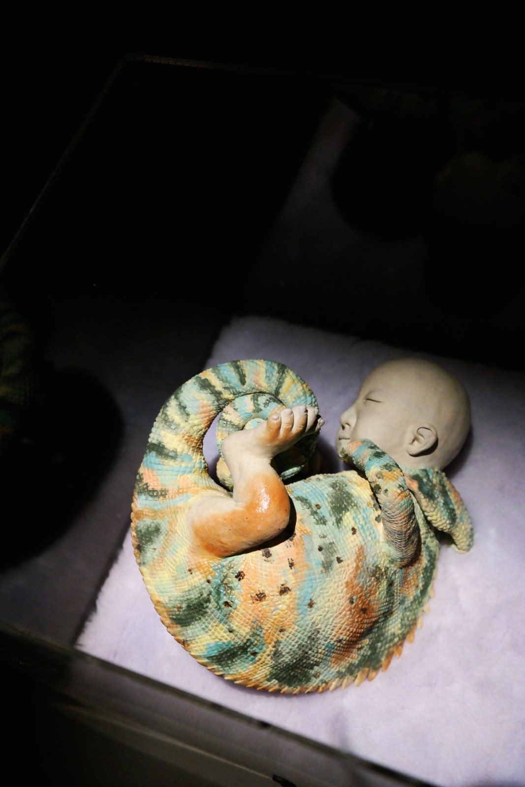 Hey! Act III exposition halle saint pierre paris exhibition Chameleon caméléon 2009 Lian Yu-Pei photo usofparis