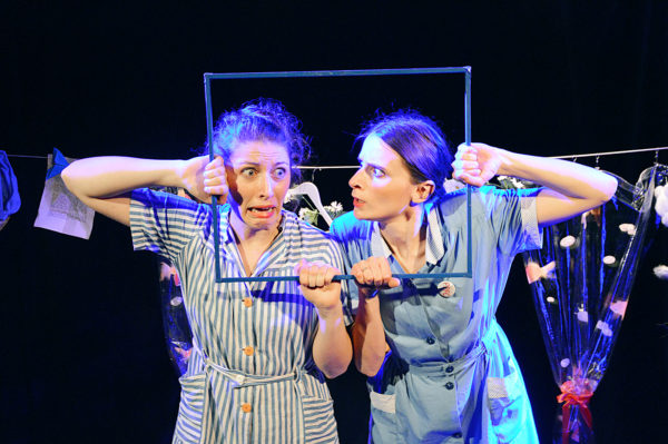 Les petites femmes de chambre